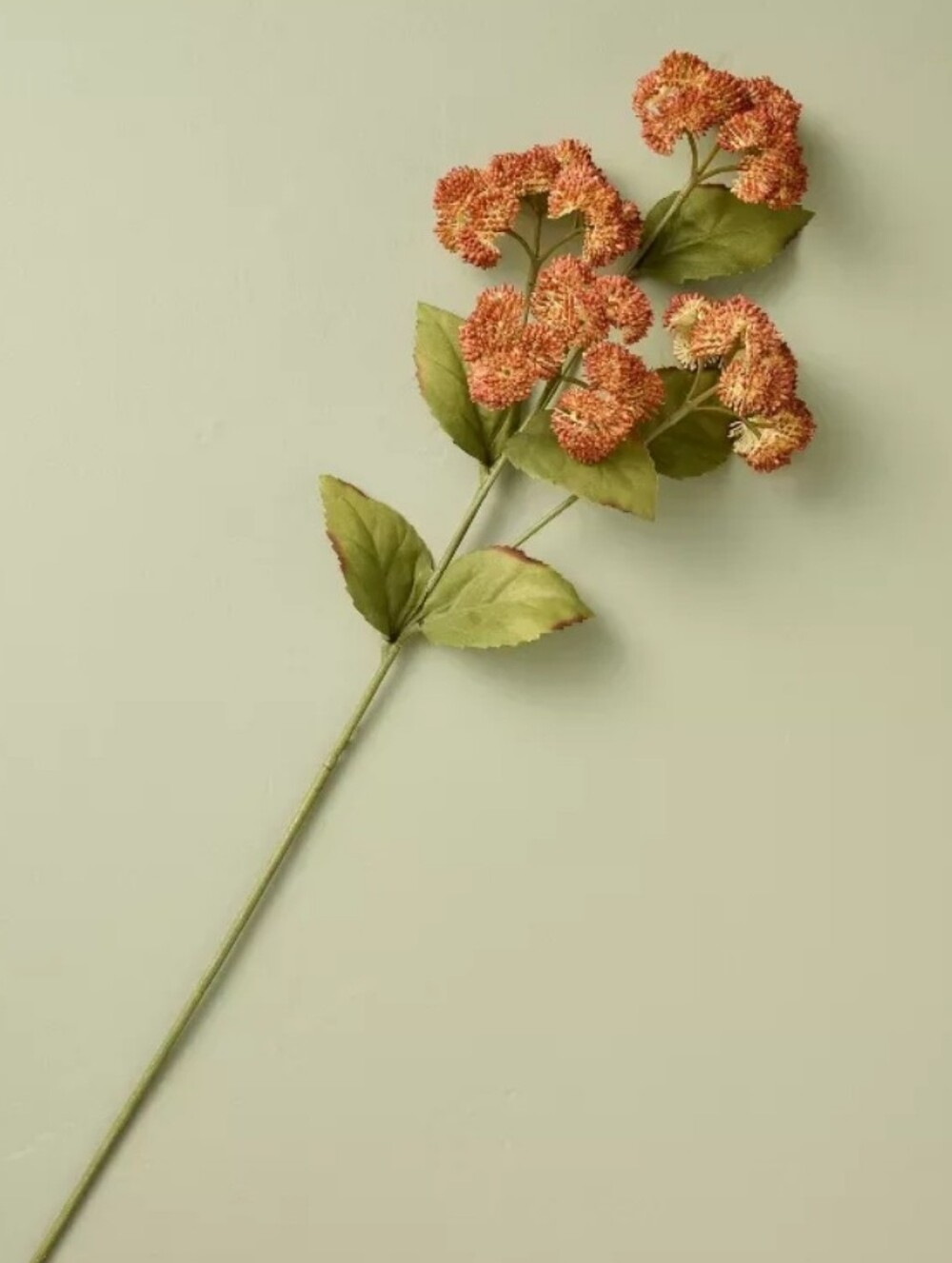 5 Hearth and Hand Sedum Orange  25" Stems Floral Target Fall